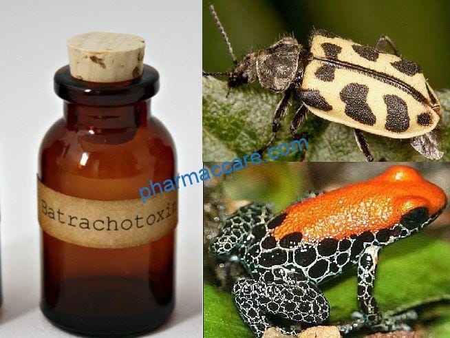 Batrachotoxin poison